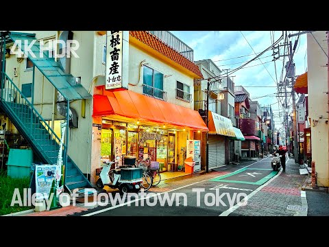 [4K/HDR]Nostalgic Alleys and a Surprise Rainfall on an East Tokyo Walk | Arakawa City, Japan