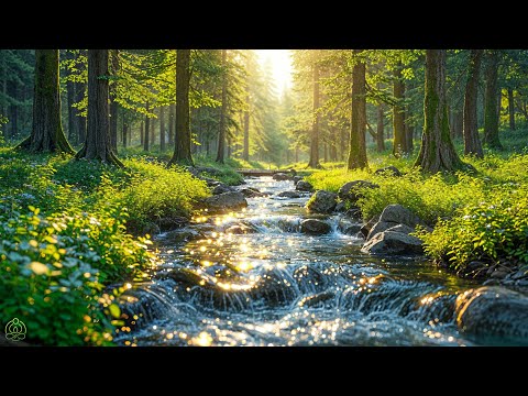 Beautiful Relaxing Music - Stop Overthinking, Stress Relief Music, Sleep Music, Calming Music #122