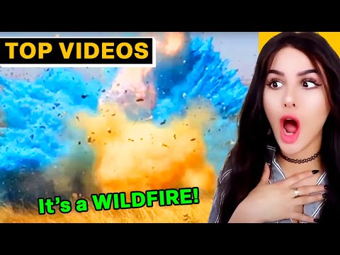 Craziest Gender Reveal Fails | SSSniperWolf