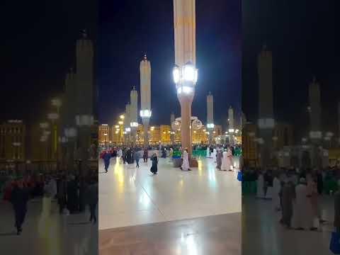 Madina #shortvideo