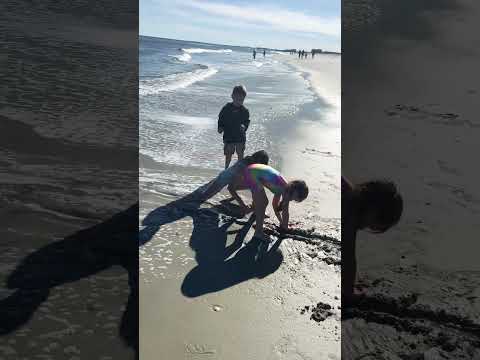 Aldina and Ajlin playing at the beach #FYP #Beach #Florida #NewYear