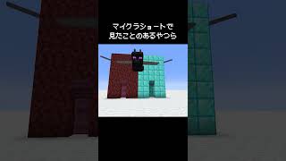 マイクラのショート動画で見たことあるやつらの瞬間