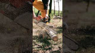 Chainsaw Cutting Trees - Sound