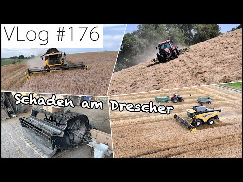 FarmVLOG#176: Die Ernte zieht sich, Raps enttäuscht & spätes Heufieber für Domi