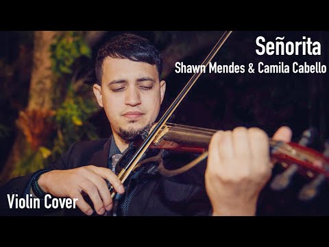 Señorita - Shawn Mendes & Camila Cabello - Violin Cover by Diego Ferreira