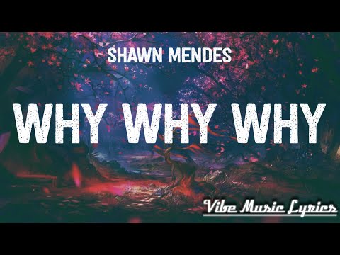 Shawn Mendes - Why Why Why (Lyrics)