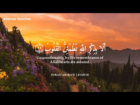 Beautiful Quran Recitation | For STUDY CALM MIND | أفضل تلاوة قرآنية جديدة| Abdul Rahman Mossad