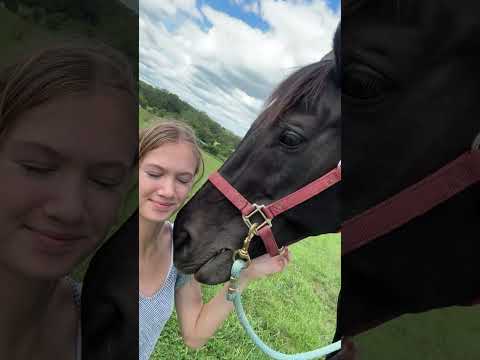 Riding Bareback 💖 #horse #horselover #equestrian