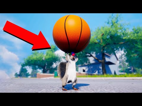 SQUIRREL WITH A BASKETBALL?! (Squirrel With A Gun)