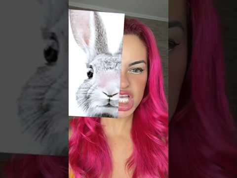 what animal is your trying tiktok filters 🤣| #shorts #funny #trending #funnyshorts #tiktok #filter