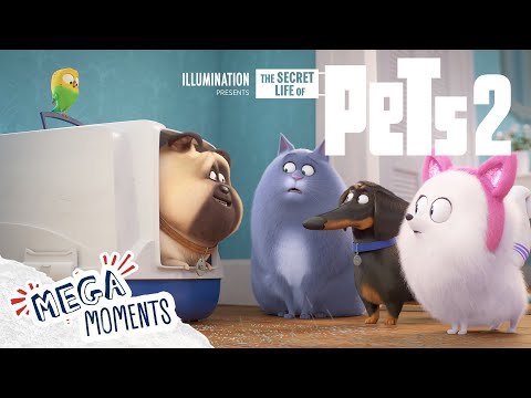 Best Moments from The Secret Life of Pets 2 | Compilation | Movie Moment | Mega Moments