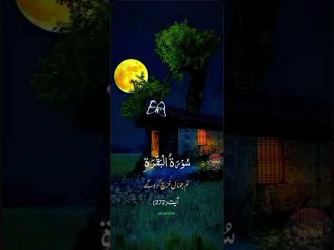 Ay Nabbi AP In Logon ki Hidayt k Zimaydar NAHI |Surah Al Baqarah #shorts