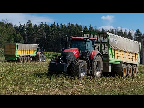 JOHN DEERE 9600i | Corn silage | 2x Tractors CASE IH OPTUM & JOSKIN SILOSPACE 2 | Agriculture