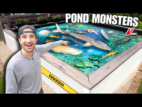 Our Dream 4000G Backyard POND For EXOTIC FISH Is Back! *Huge Shopping Spree*