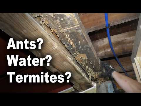 How to Replace Rotted Sill Plate with Header Over Basement Bulkhead Opening