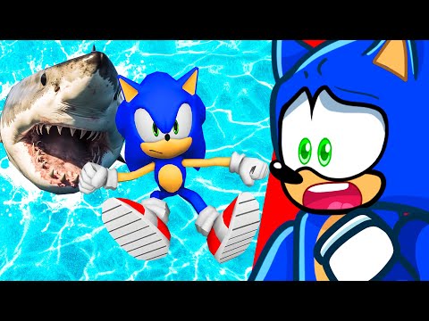 SONIC vs 9,784,235 Feet Fall