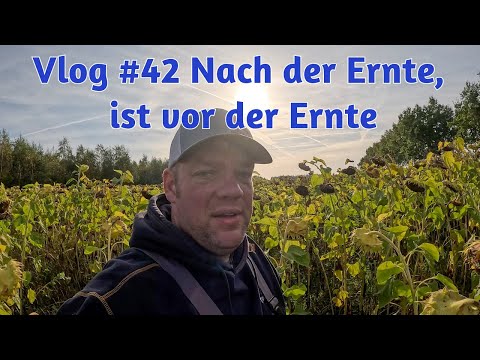 Farm-Vlog #42 Nach der Ernte, ist vor der Ernte. Aber das Wetter spielt wieder nicht mit.