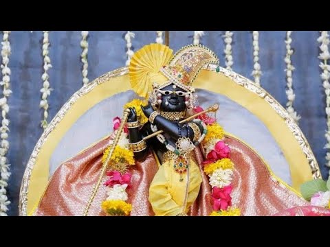 Radha Ramanam Hare Hare | Shri Indresh Upadhyay Ji | Srishti bhandari | #radharaman ji #vrindavan