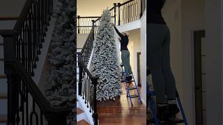 It’s almost timeeee #cozychristmas #christmastree #holidaydecor