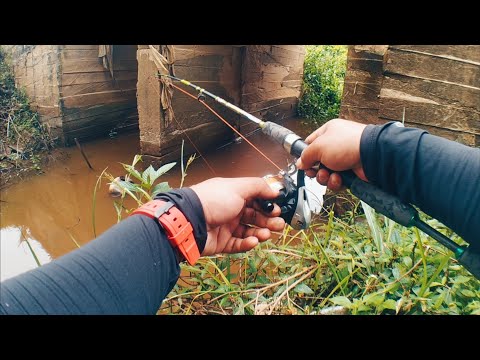 MANCING IKAN DI BAWAH JEMBATAN DESA || MANCING IKAN BAUNG || JORAN DAIDO #009