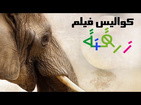 كواليس فيلم زرقنة