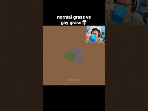 Minecraft Grass Race Moment