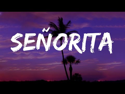 Señorita - Shawn Mendes (Lyrics) Olivia Rodrigo, Ruth B., Troye Sivan