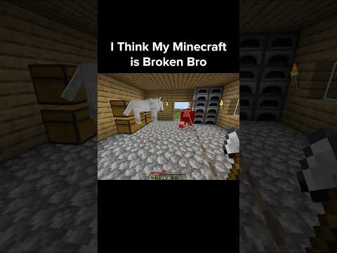 Minecraft Funny Moment