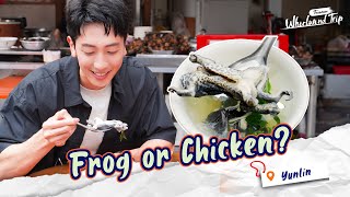 🐸  Yunlin’s Boldest Bite: Frog Delicacy Awaits! |📍𝒀𝒖𝒏𝒍𝒊𝒏 | Whirlwind Trip