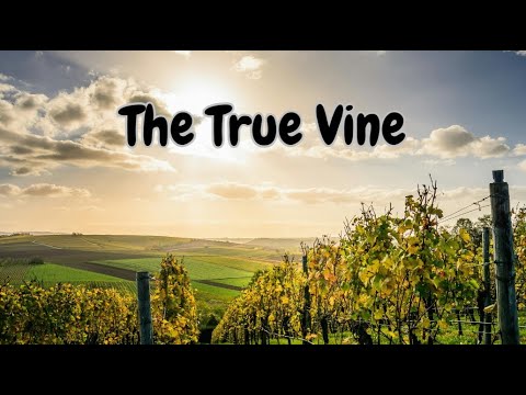 The True Vine (Pastor Ed Lapiz)