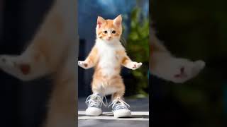 Gatito Bailando IA #dance #viralshorts #shortsviral #gracioso