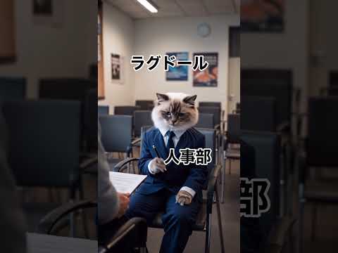 もしも猫だけの会社があったら...#ai #猫