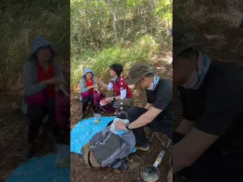 Fun hiking activities⛰️唐麻丹山輕鬆走⛰️ #taiwan #谷關七雄 #唐麻丹山 #中級山 #hiking #hikingtrail #女子登山 #小百岳