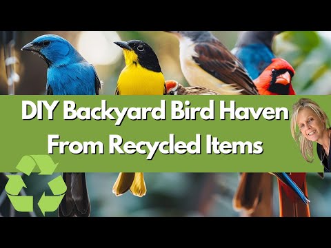 DIY Bird Feeders & Bird House From Recycled Items / Trash to Treasure