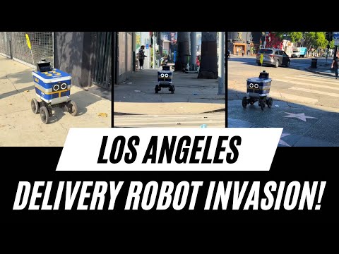 When Bots Invade: LA's New Delivery Reality