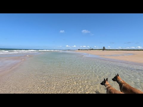 SAND SEA FRESH AIR NICE WAY TO SPEND THE DAY