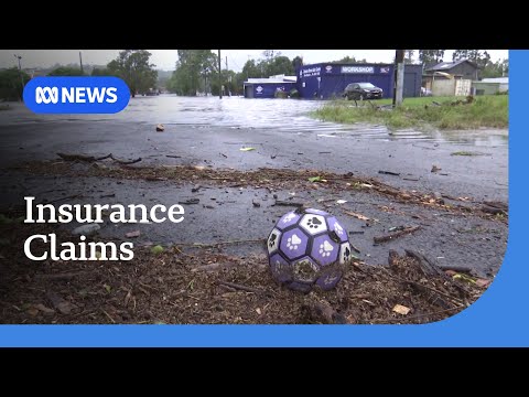 Growing calls for the government to help reduce insurance costs | ABC NEWS