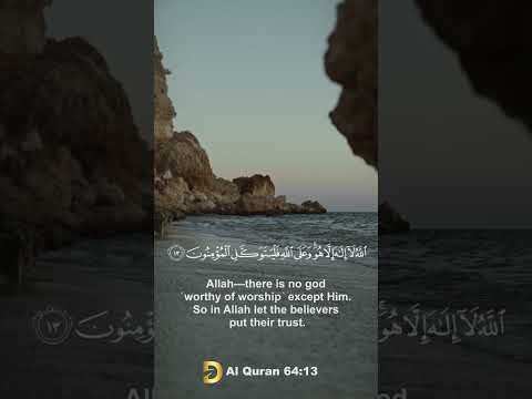 Al Quran 64:13 Daily Quran Official #shorts #quran #quranrecitation #holyquran #beautifulquran