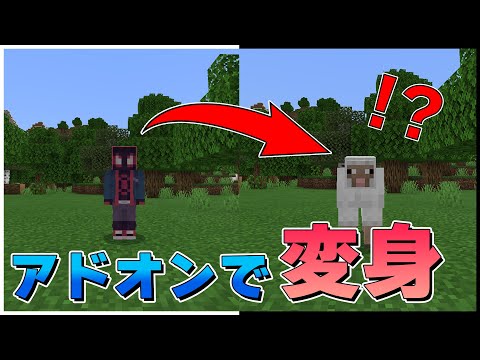 モブに変身できる最強アドオンを紹介！！【マイクラPE/BE】【アドオン紹介#16】