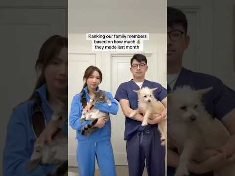 Ranking our family members based on how much they made last month💰 #cat #kitten #dog #nurse #doctor