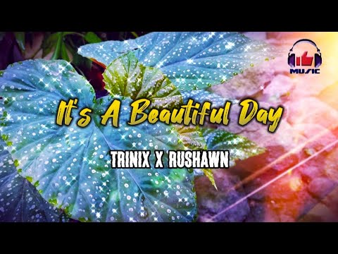 IT'S A BEAUTIFUL DAY - Trinix x Rushawn w/ Lyrics #itsabeautifulday #musiclyrics #lyrics #LIKEMusic