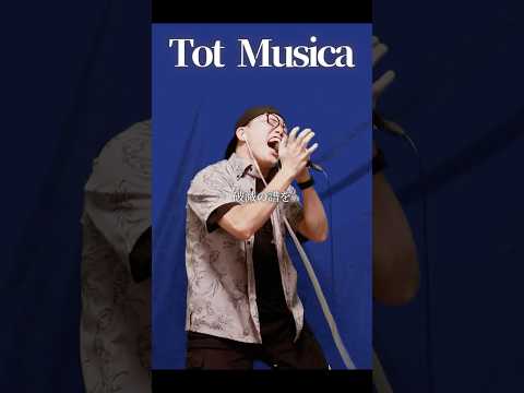 "Tot Musica" - Ado (UTA from ONE PIECE FILM RED) (Cover by ZUMA)