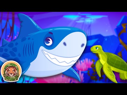 Learn About Your Favorite Animals: Large & Small | Animal Size Comparison Song | KLT WILD