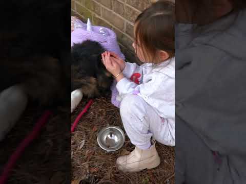 She loves her puppy