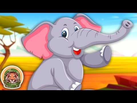 Meet The Elephant! | Animal Songs For Kids | KLT WILD