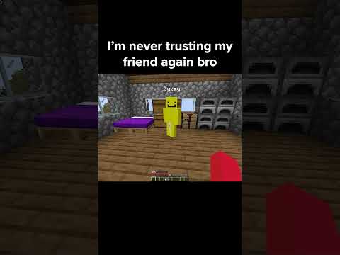 Minecraft Friend Moment