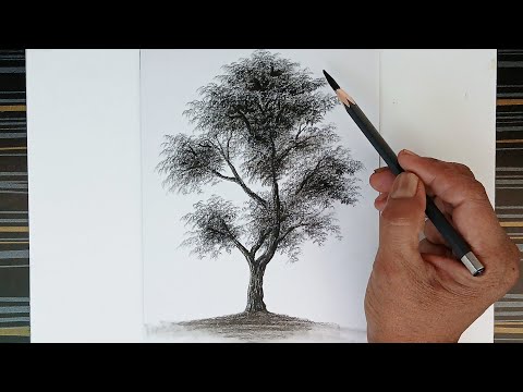 Time-lapse landscape simple tree drawing by pencil.