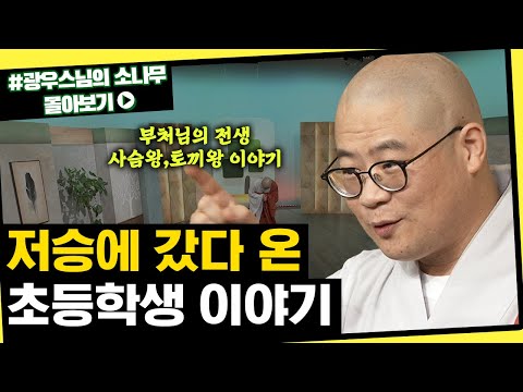 숨이 끊어졌다가 장례식에서 관짝 열고 나온 초등학생 이야기 [초심으로 돌아가는 광우스님의 소나무 시즌3 몰아보기]