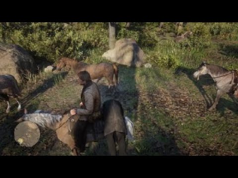 Red Dead Redemption 2_20200611001321