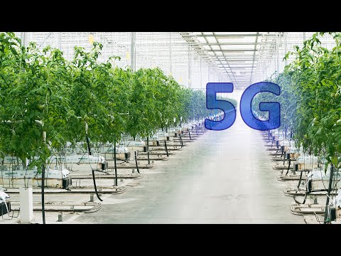 5G In Glastuinbouw - NL